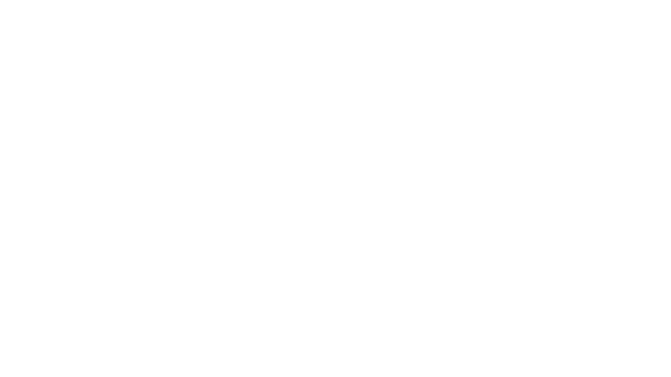 MAN11